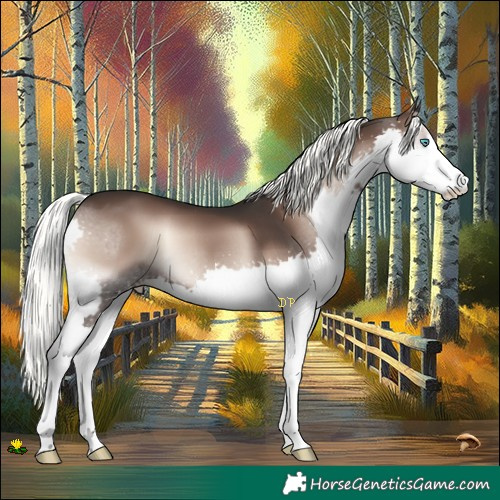Horse Color:Liver Red Onyx Mushroom Splash 