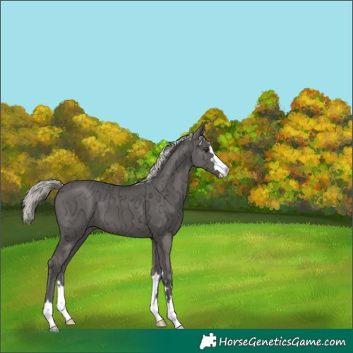 Horse Color:Liver Chestnut Ice Mushroom 