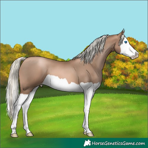 Horse Color:Liver Chestnut Pearl Mushroom Splash 