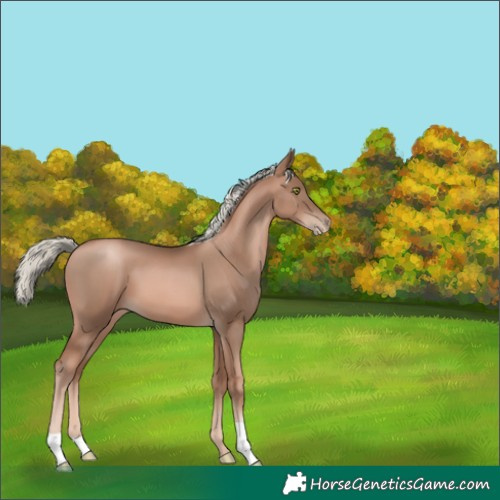 Horse Color:Liver Chestnut Pearl Mushroom 