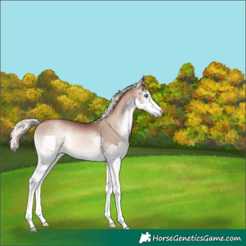 Horse Color:Liver Red Onyx Pearl Mushroom Splash 
