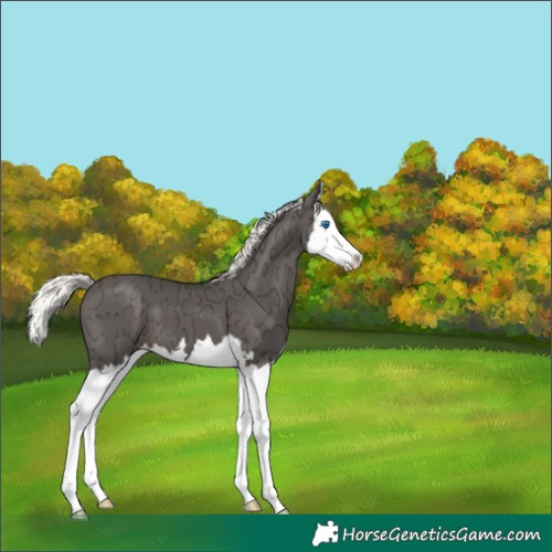 Horse Color:Liver Chestnut Ice Mushroom Splash 
