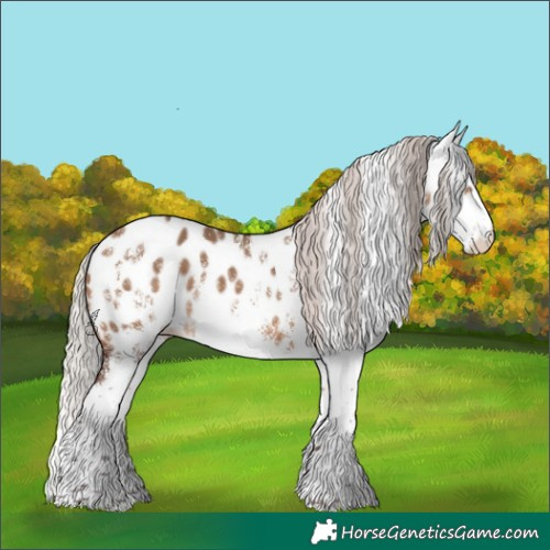 Horse Color:White Spotted Silver Brown Dun Appaloosa Rabicano 