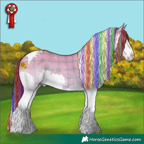 Horse Color:Painted Plaid  Buckskin Dun Splash Tobiano 