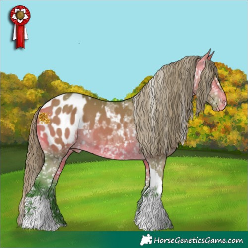 Horse Color:Watercolor Buckskin Dun Tobiano Appaloosa 