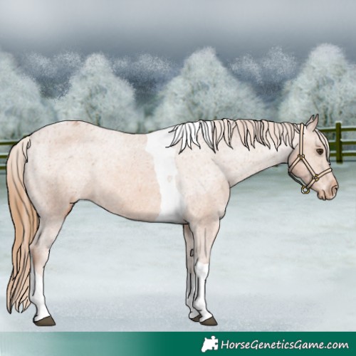 Horse Color:Chestnut Tobiano Varnish