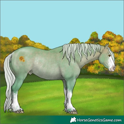 Horse Color:Watercolor White Spotted Chocolate Silver Brown Varnish Rabicano 
