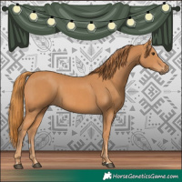 Horse Color:Chestnut  and Chestnut 