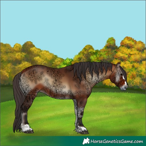 Horse Color:Bay Ice Onyx 