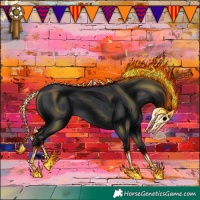 Horse Color:Black 