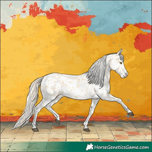Horse Color:Palomino Appaloosa  and Palomino Appaloosa 