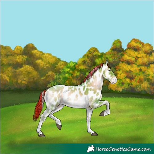 Horse Color:Painted Watercolor Liver Red Onyx Ice Tobiano Appaloosa 