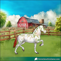 Horse Color:Painted Watercolor Liver Red Onyx Ice Tobiano Appaloosa