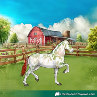 Horse Color:Painted Watercolor Liver Red Onyx Ice Tobiano Near Leopard 