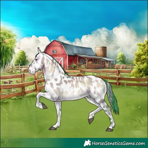 Horse Color:Painted Watercolor White Spotted Brown Onyx Appaloosa 