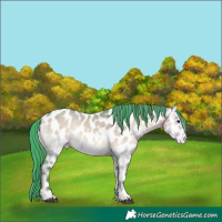 Horse Color:Painted Watercolor White Spotted Brown Onyx Appaloosa 