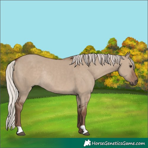 Horse Color:Silver Grullo Rabicano 