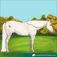 Horse Color:Silver Classic Cream Champagne Pearl Dun