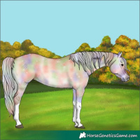 Horse Color:Nacre Silver Bay Onyx Tobiano 
