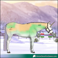 Horse Color:Painted Palomino Onyx 
