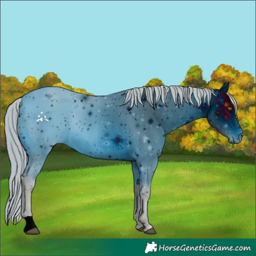 Horse Color:ERROR: UNKNOWN ANOMALY