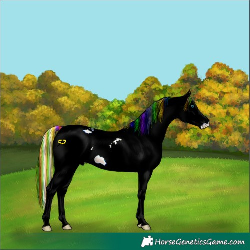 Horse Color:ERROR: UNKNOWN ANOMALY