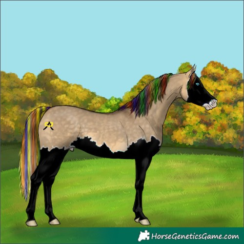 Horse Color:Painted Buckskin Dun Splash 