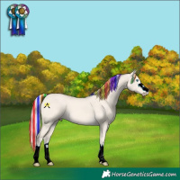 Horse Color:Painted Cremello Dun