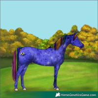 Horse Color:ERROR: UNKNOWN ANOMALY
