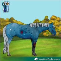 Horse Color:ERROR: UNKNOWN ANOMALY