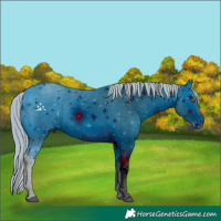 Horse Color:ERROR: UNKNOWN ANOMALY