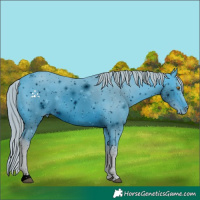 Horse Color:ERROR: UNKNOWN ANOMALY