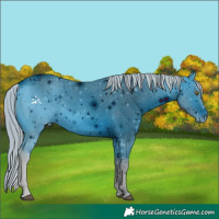 Horse Color:ERROR: UNKNOWN ANOMALY
