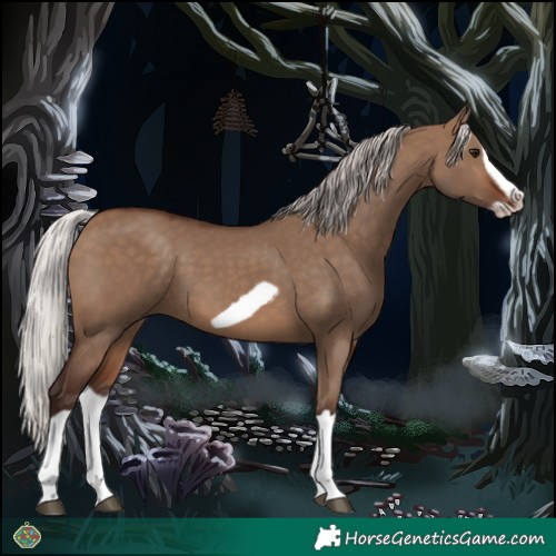 Horse Color:Silver Brown Dun Splash Frame 