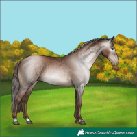 Horse Color:Gray Black Pearl 
