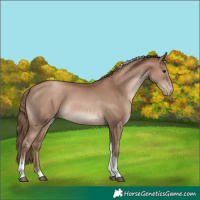 Horse Color:Black Pearl Tobiano 