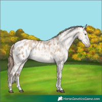 Horse Color:White Spotted Liver Red Dun Pearl Sabino Blanket 