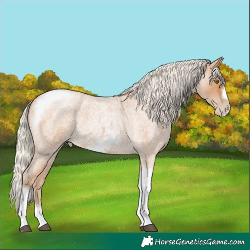 Horse Color:Silver Blue Roan Pearl Tobiano Frame 