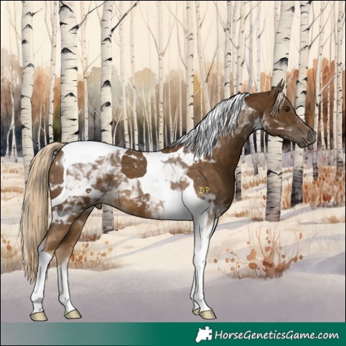 Horse Color:Chocolate Palomino Tobiano 