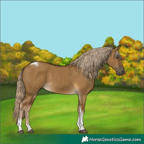 Horse Color:Chocolate Palomino Dun Tobiano 