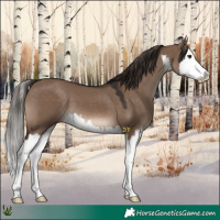 Horse Color:White Spotted Liver Red Dun Splash 