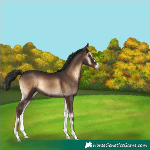 Horse Color:Liver Red Onyx Brindle 