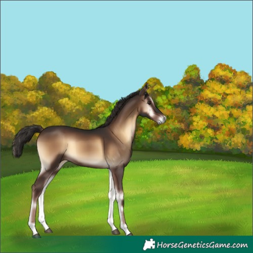 Horse Color:Liver Red Onyx 