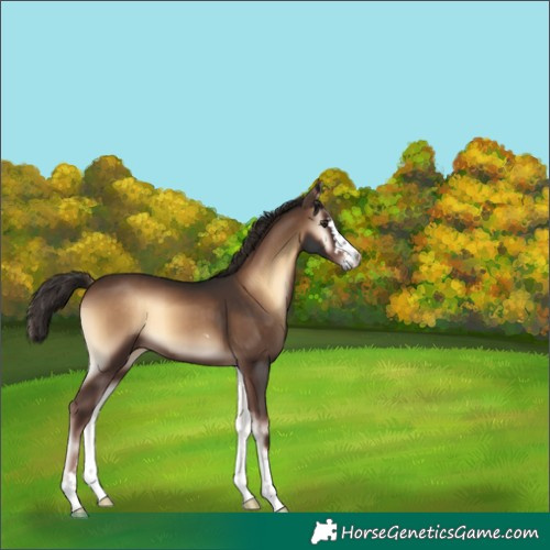 Horse Color:Liver Red Onyx 