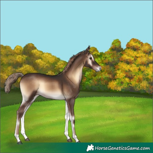 Horse Color:Liver Red Onyx 
