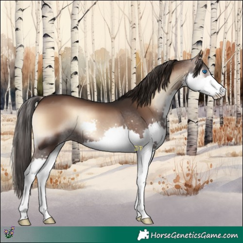 Horse Color:Liver Red Onyx Splash 