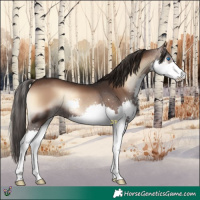 Horse Color:Liver Red Onyx Splash 