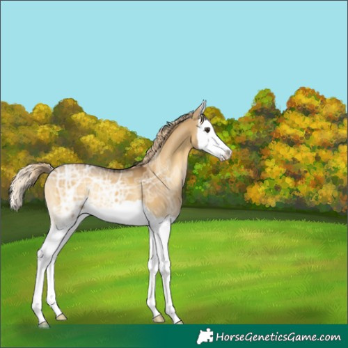 Horse Color:Chocolate Palomino Ice Onyx Splash 