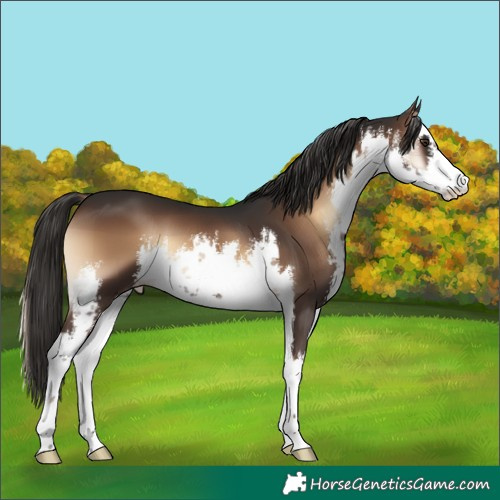 Horse Color:White Spotted Liver Red Onyx 