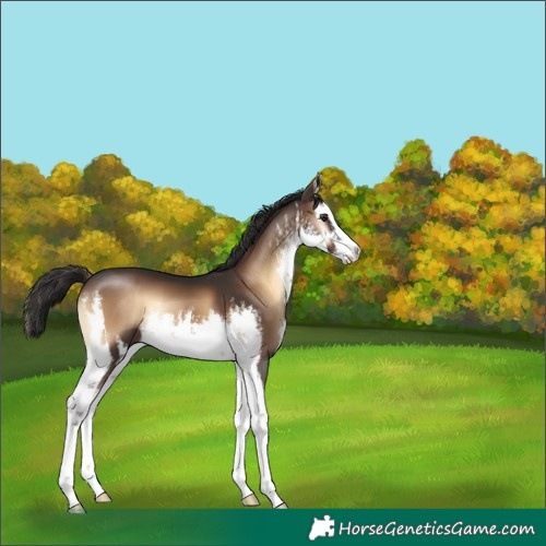 Horse Color:White Spotted Liver Red Onyx 